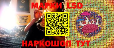 амф Шебекино