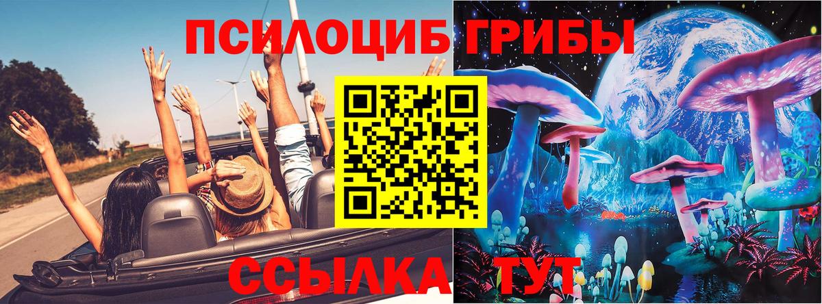 Галлюциногенные грибы Cubensis  Вход с VPN  Волжский  Псилоцибиновые грибы прущие грибы 