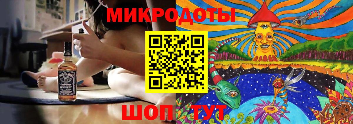 Галлюциногенные грибы Psilocybine cubensis Волжский